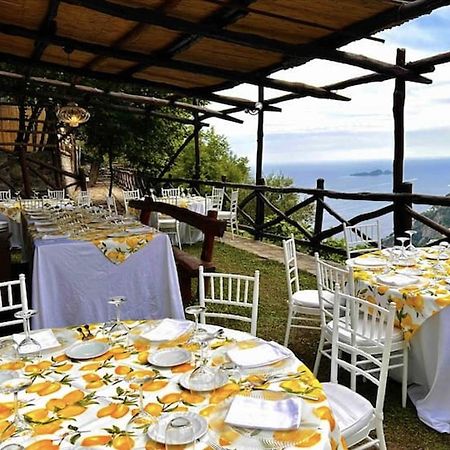 Villa Graziella Positano "A Piece Of Paradise" Extérieur photo