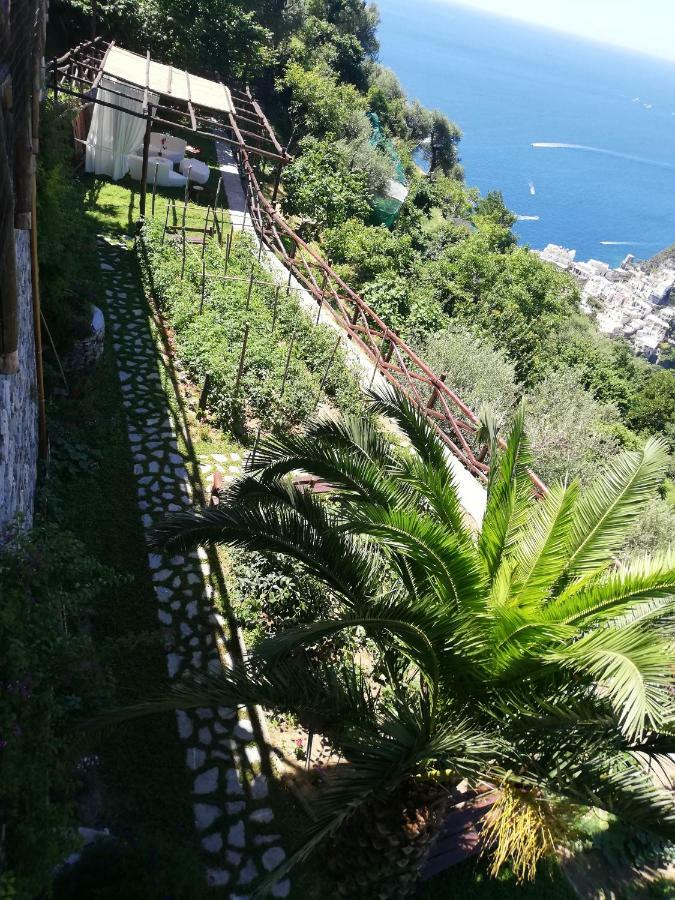 Villa Graziella Positano "A Piece Of Paradise" Extérieur photo